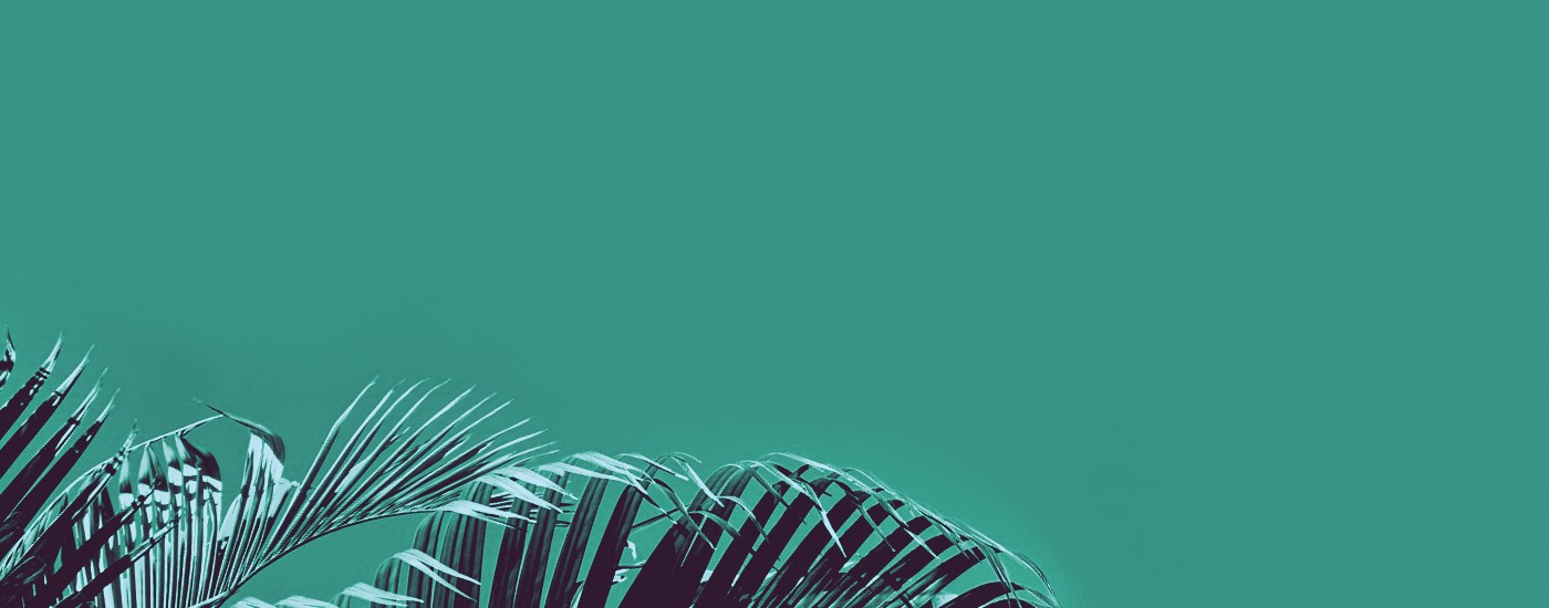 Sarah Tayler writer, editor, production