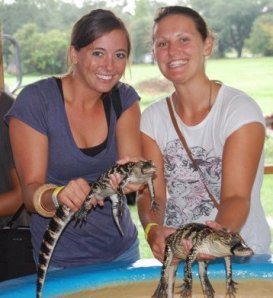 Louisiana, USA, America, alligator, swamp, boat, adventure, water ski, lake, honey island swamp, insta gator 