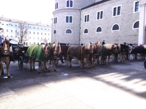 salzburg, austria, europe, horse and carriage, tours, things to do