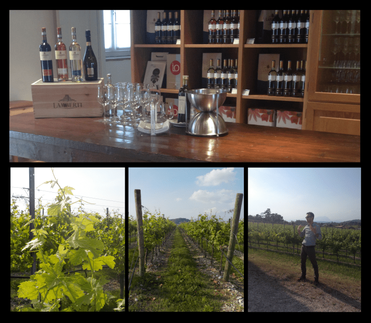 lake garda, bardolino, lamberti, wine, vineyard, wine tour