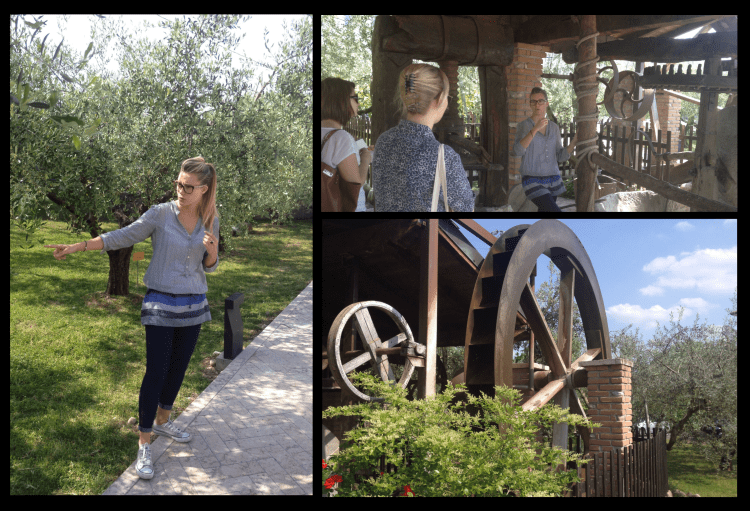 Turri, Olive, Olive oil, lake garda, italy, garda