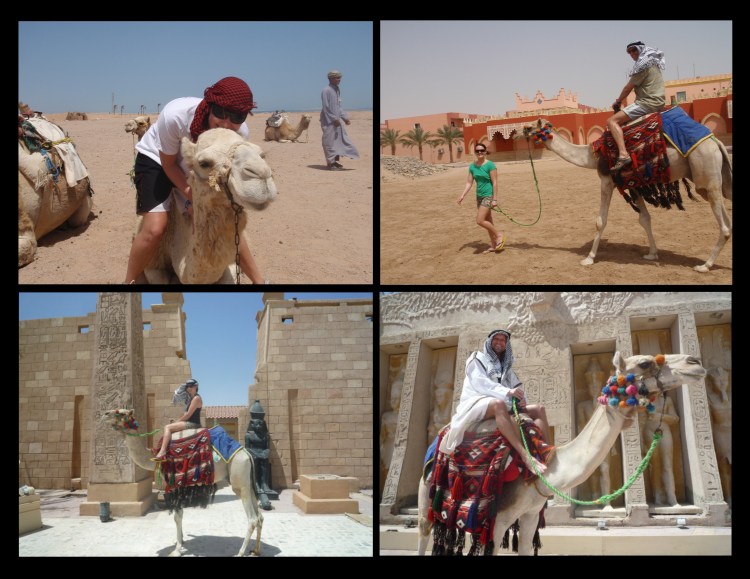 camels
