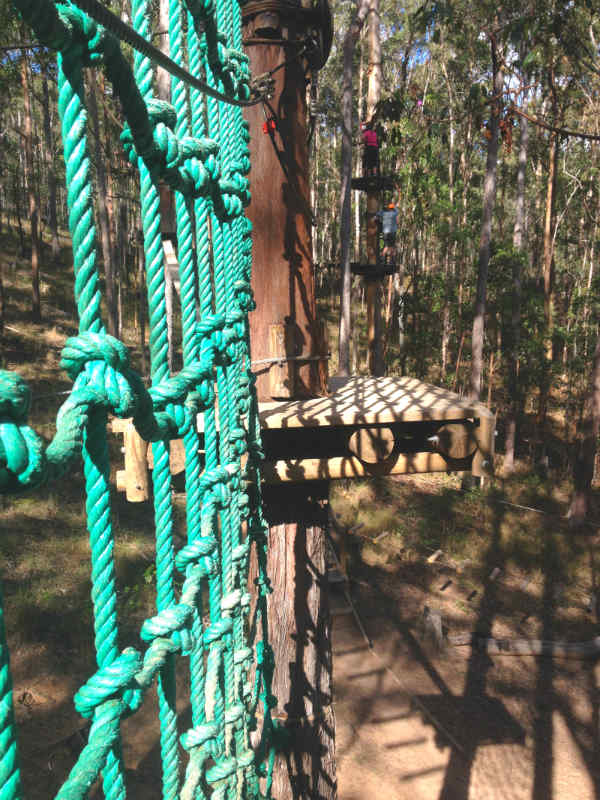 Tree Top Challenge Gold Coast