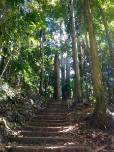 Gold Coast Hiking Mount Warning